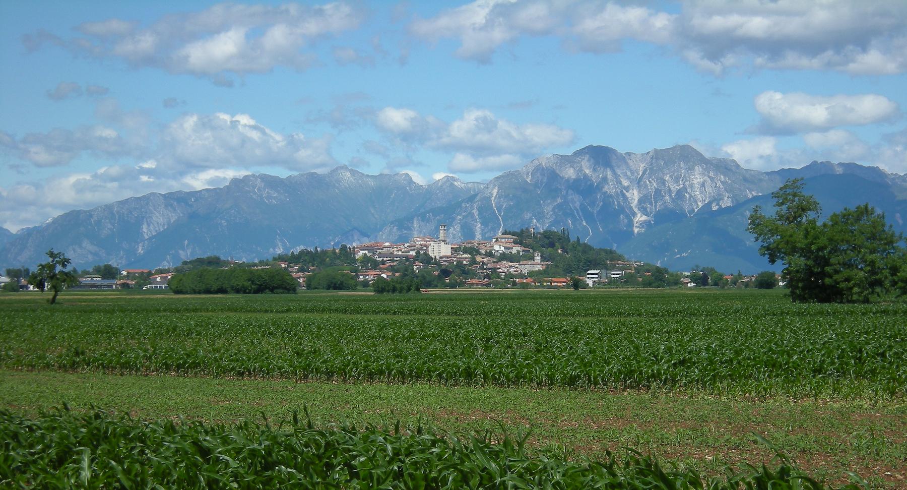 San Daniele del Friuli on its hill beneath the Prealps, seen across fields